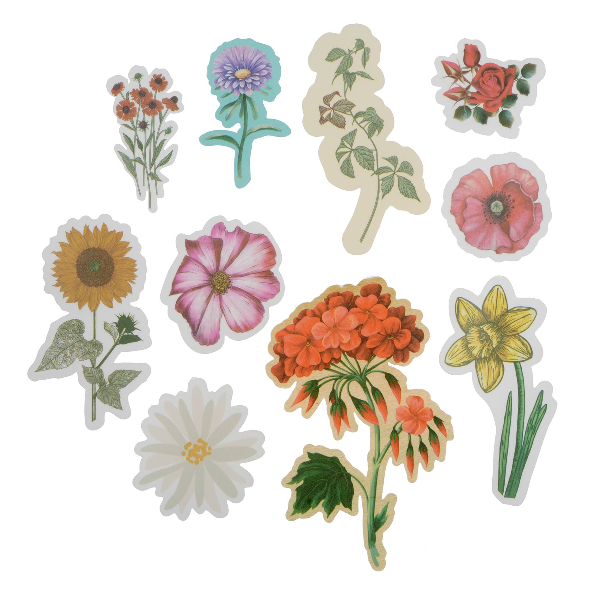 12 Pack: Flowers Vellum Ephemera by Recollections™